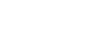 PROGRAMA DIRECTOR